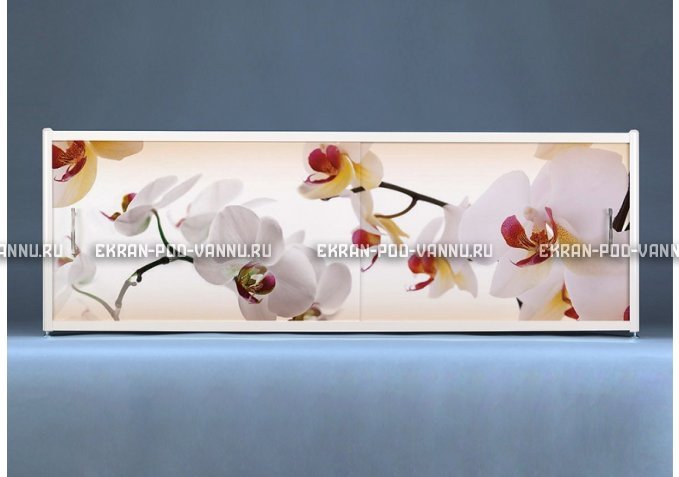 Раздвижной ФОТО экран - Orchid – купить по цене 8500 руб. в интернет-магазине в городе Самара картинка 1
