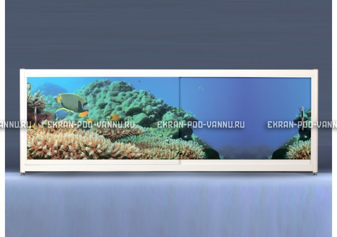 Экран на роликах EUROPLEX Коралловые рифы – купить по цене 12400 руб. в интернет-магазине в городе Самара картинка 1