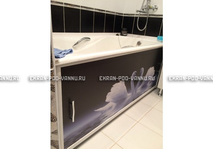 Раздвижной ФОТО экран - Лебеди – купить по цене 8500 руб. в интернет-магазине в городе Самара картинка 2